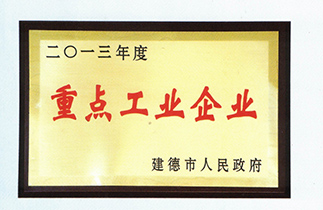 2013年度重點(diǎn)工業(yè)企業(yè)